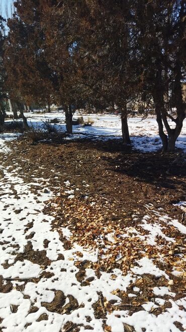 Продажа участков: 9 соток, Для бизнеса, Красная книга at lalafo.kg — 27 Продажа участков: 9 соток, Для бизнеса, Красная книга — 27