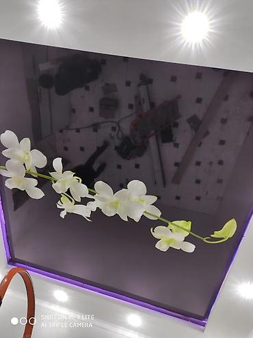 Натяжной потолок: Натяжной потолок Глянцевое, Матовое, 3D потолки Бесплатный замер, Гарантия, Бесплатная консультация — 8