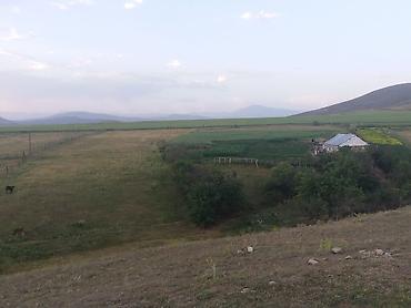 bakıda ev kirayə verilir: 3 otaqlı, 100 kv. m, Orta təmir — 2