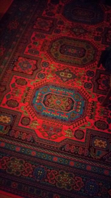 Xalçalar: Xalça Dekorativ, Azərbaycan, Kredit yoxdur — 11