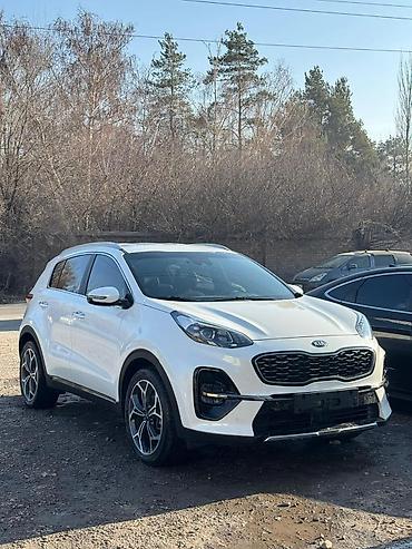 Kia: Kia Sportage: 2019 г., 2 л, Автомат, Дизель, Кроссовер — 3