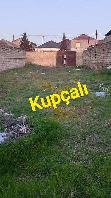 savalan torpag: 3 sot, Tikinti, Mülkiyyətçi, Kupça (Çıxarış) — 1