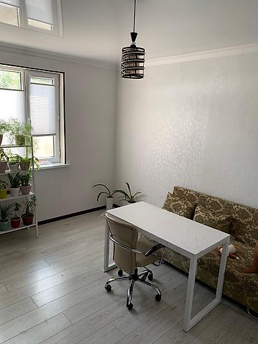 керме тоо: 90 м², 2 бөлмө, Жаныбарлары жок — 5