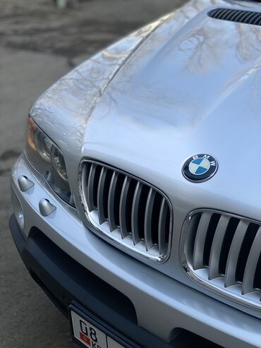 BMW: BMW X5: 2004 г., 3 л, Типтроник, Дизель, Внедорожник