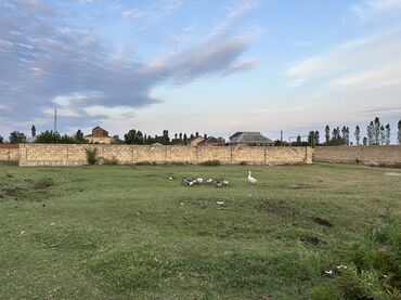 satılıq torpaq: 7 sot, Tikinti, Mülkiyyətçi, Kupça (Çıxarış)