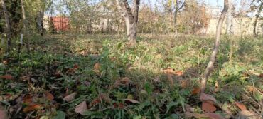 гостевые дома за городом: 4 соток, Риэлторам не беспокоить, Купчая