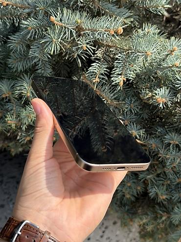 1 наушник: IPhone 16 Pro Max, Колдонулган, 256 ГБ, Desert Titanium, Заряддоочу түзүлүш, Коргоочу айнек, Каптама, Бөлүп төлөө менен, 91 % — 5