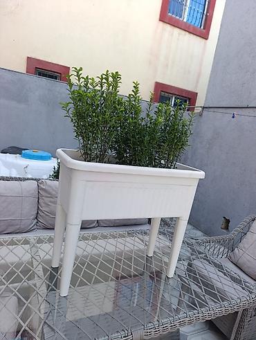 Digər daşınmaz kommersiya əmlakı icarəsi: Bag evlərinə villalara həyət evlərinə, bina evlərinə baglarina -da lalafo.az — 13 Digər daşınmaz kommersiya əmlakı icarəsi: Bag evlərinə villalara həyət evlərinə, bina evlərinə baglarina — 13