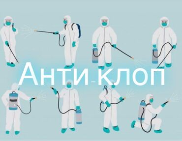 шторы цена: Дезинфекция, дезинсекция | Клопы, Блохи, Тараканы | Транспорт, Офисы, Квартиры