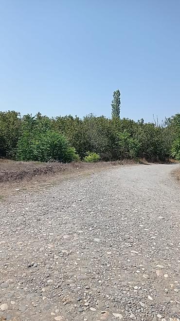 bilgeh ev satilir: 22 sot, Tikinti, Mülkiyyətçi, Kupça (Çıxarış) — 3