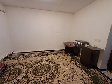 аред: 20 м², 1 комната, Новопавловка с., Без животных — 4