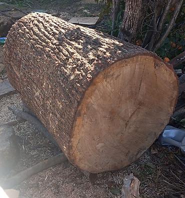 dekor odun: Kötük qessablar ücün palıdın buyurun ciddi ş m etdin — 1