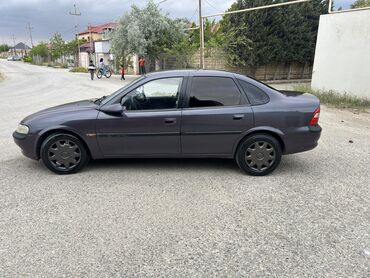 opel vectra b beyin: Opel Vectra: 2 л | 1996 г. | 484752 км Седан