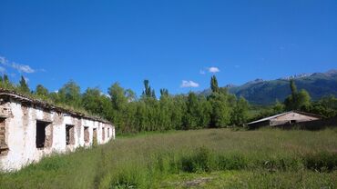дом ак ордо аренда: 20 соток, Для бизнеса, Красная книга, Тех паспорт