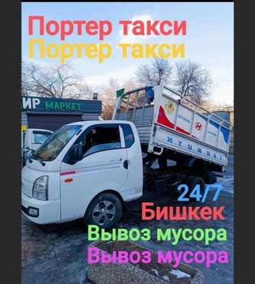 черепашьи яйца купить: Вывоз мусора Вывоз мусора Вывоз мусора Вывоз мусора Вывоз мусора