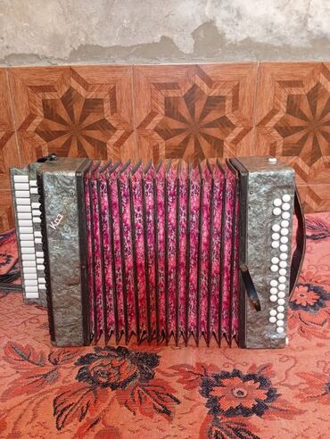 Qarmonlar: Qarmon, Akustik, Yeni, Pulsuz çatdırılma