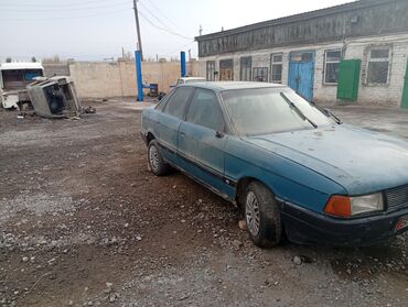 ауди 80 балыкчы: Audi 80: 1988 г., 1.8 л, Механика, Бензин, Седан