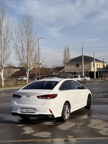 Hyundai: Hyundai Sonata: 2019 г., 2 л, Автомат, Газ, Седан — 4