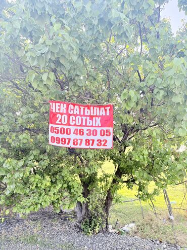 квартира в ысык куле: 20 соток, Для бизнеса, Красная книга