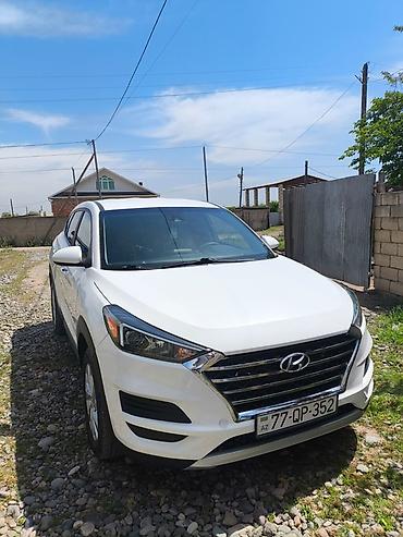 Hyundai: Hyundai Tucson – ağ rəngli, şəhər və kənar səfərlər üçün universal — 2