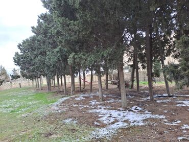 Kommersiya daşınmaz əmlakının satışı: 25 SOT TORPAQ SAHESI SATILIR!!! icinde 200 kvd liq tikili -da lalafo.az — 5 Kommersiya daşınmaz əmlakının satışı: 25 SOT TORPAQ SAHESI SATILIR!!! icinde 200 kvd liq tikili — 5