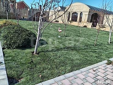 landşaft dizayn: Landşaft dizaynı və yaşıllaşdırma xidməti - Həyətyanı sahələr, bağ və — 3
