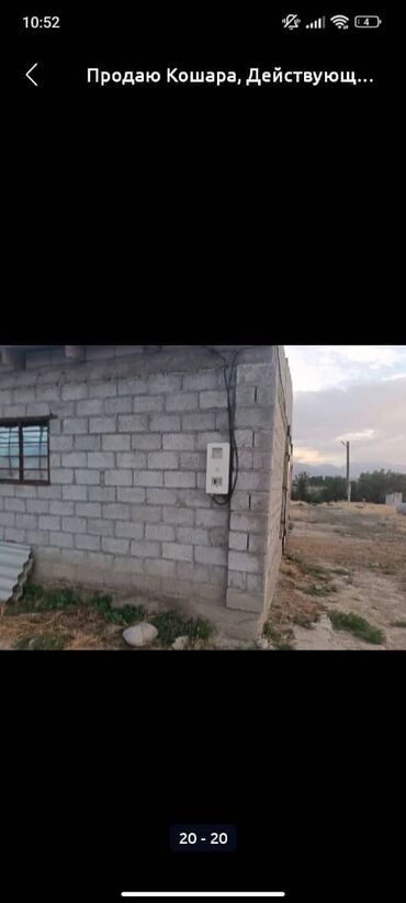 Сельхоз предприятия: Продаю Кошара, 50 соток, Действующий, Частично с оборудованием, Электричество, Канализация, Отопление at lalafo.kg — 18 Сельхоз предприятия: Продаю Кошара, 50 соток, Действующий, Частично с оборудованием, Электричество, Канализация, Отопление — 18