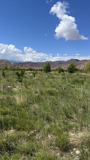 Продажа участков: 600 соток, Для сельского хозяйства, Красная книга, Тех паспорт, Договор купли-продажи — 21