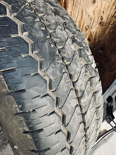 welt master: Шина на Спринтер MaxTrek для коммерческих/грузопассажирских фургонов — 2