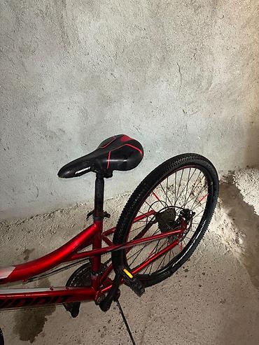 velo teker: 1 sezon surulub skoruslar herbiri islek veziyetde 3-7 dir tormuzlar — 3