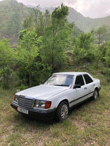 Mercedes-Benz: Mercedes-Benz W124: 1980 г., 2.5 л, Механика, Дизель, Седан