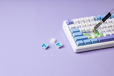 logitech superlight 2: Клавиатура, Aula, Механическая, Bluetooth, Проводное подключение, Размер: 75% — 7