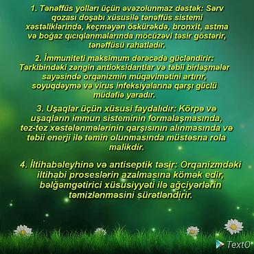 mürebbe: Məhsul: Sərv qozası doşabı – ev üsulu ilə hazırlanmış, tam təbii — 2