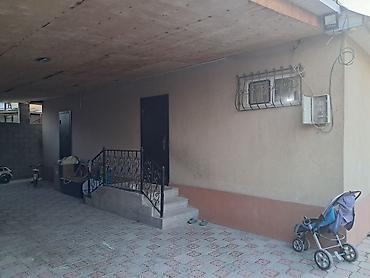 Продажа участков: 6 соток, Красная книга — 5