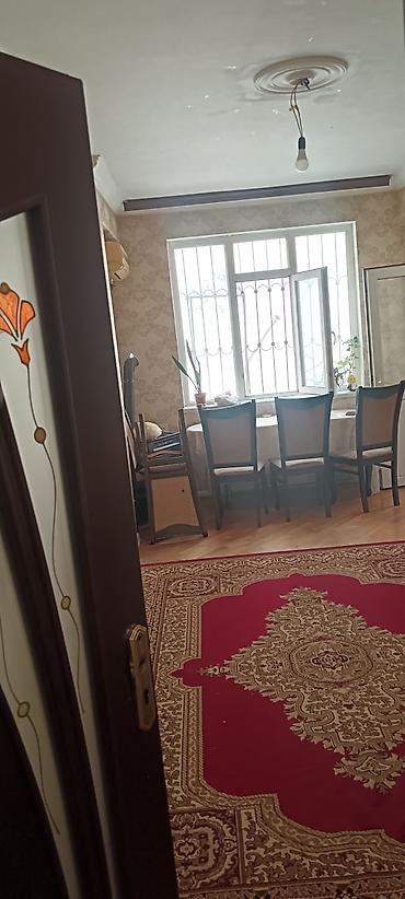 ətlik i̇neyler: Otağ yoldaşı axdarlır evdə hər bir əşya var bina evinin 2 mərtəbəsi — 2