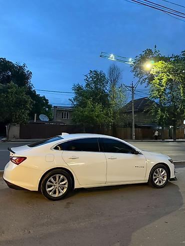 spark 2017: Chevrolet Malibu: 2019 г., 1.5 л, Вариатор, Бензин, Седан — 3
