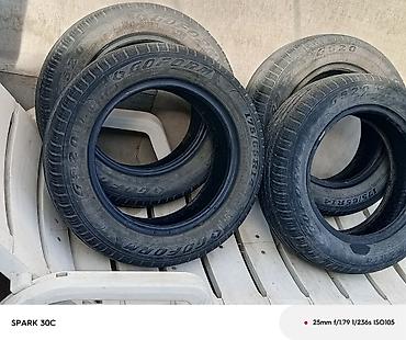 Птицы: Продам : Перепелов для развода возраст разный и на мясо . Яйца — 8