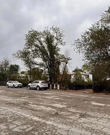 Продажа участков: 22 соток, Красная книга — 7