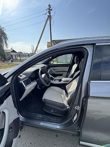 BYD: BYD : 2024 г., Автомат, Электромобиль, Кроссовер — 8