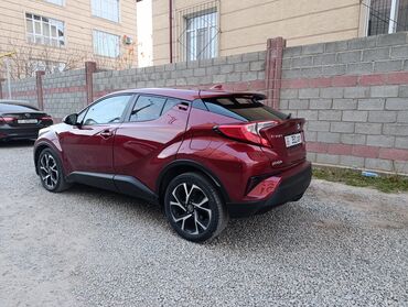 Toyota: Toyota C-HR: 2017 г., 2 л, Вариатор, Бензин, Кроссовер