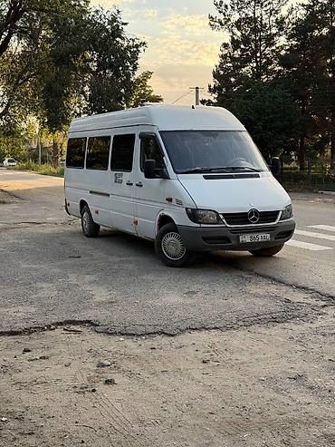 tsunami 100: Mercedes-Benz Спринтер: 2003 г., 2.2 л, Механика, Дизель, Бус — 1
