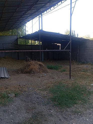 Продажа коттеджей и домов: Продаю два дома на одном участке Рядом с трассой Аэропорта Манас Село — 3