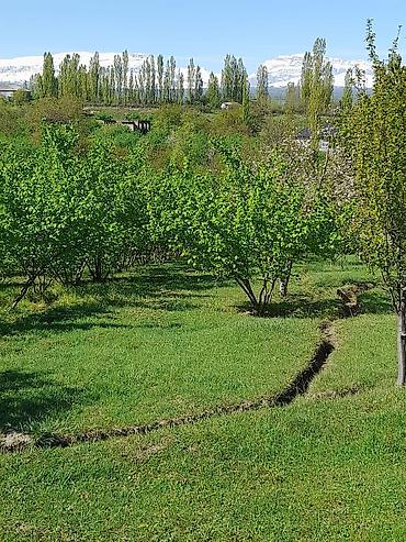Həyət evləri və villaların satışı: 3 otaqlı, 130 kv. m, Kredit yoxdur, Orta təmir — 8