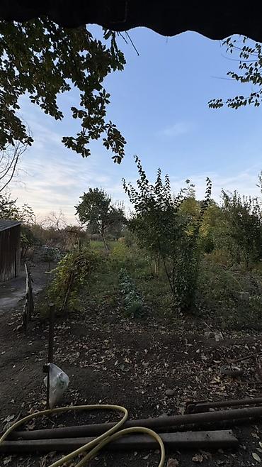 үй старый талчок: 🏡 ПРОДАЁТСЯ ДОМ С БОЛЬШИМ УЧАСТКОМ И ГОТОВЫМ ХОЗЯЙСТВОМ! 📍 Село — 3