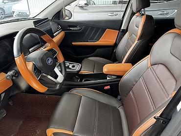 BYD: BYD E2: 2021 г., Электромобиль, Кроссовер — 8