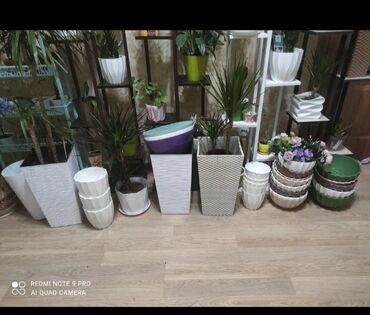 Горшки для растений: Кашпо — 2