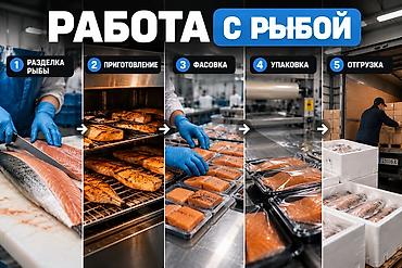 работы в россии: 🐟 ВАКАНСИЯ: РАБОТА НА РЫБНОМ ПРОИЗВОДСТВЕ 📍 Город: Владимир, Россия — 1
