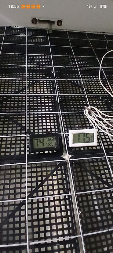 İnkubatorlar: Ev quşlarının yumurtadan çıxarılması üçün inkubator - Material: qalın — 3