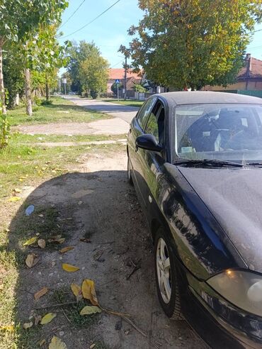 Seat: Seat Ibiza: 1.9 l | 2004 г. 353991 km Hečbek — 7