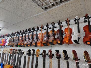 Skripkalar: Skripka Skripka ve Skripkalara Böyük endirim kampaniyası davam edir -da lalafo.az — 12 Skripkalar: Skripka Skripka ve Skripkalara Böyük endirim kampaniyası davam edir — 12